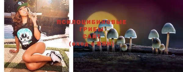 молекула духа Балахна