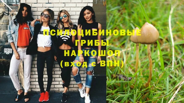 молекула духа Балахна